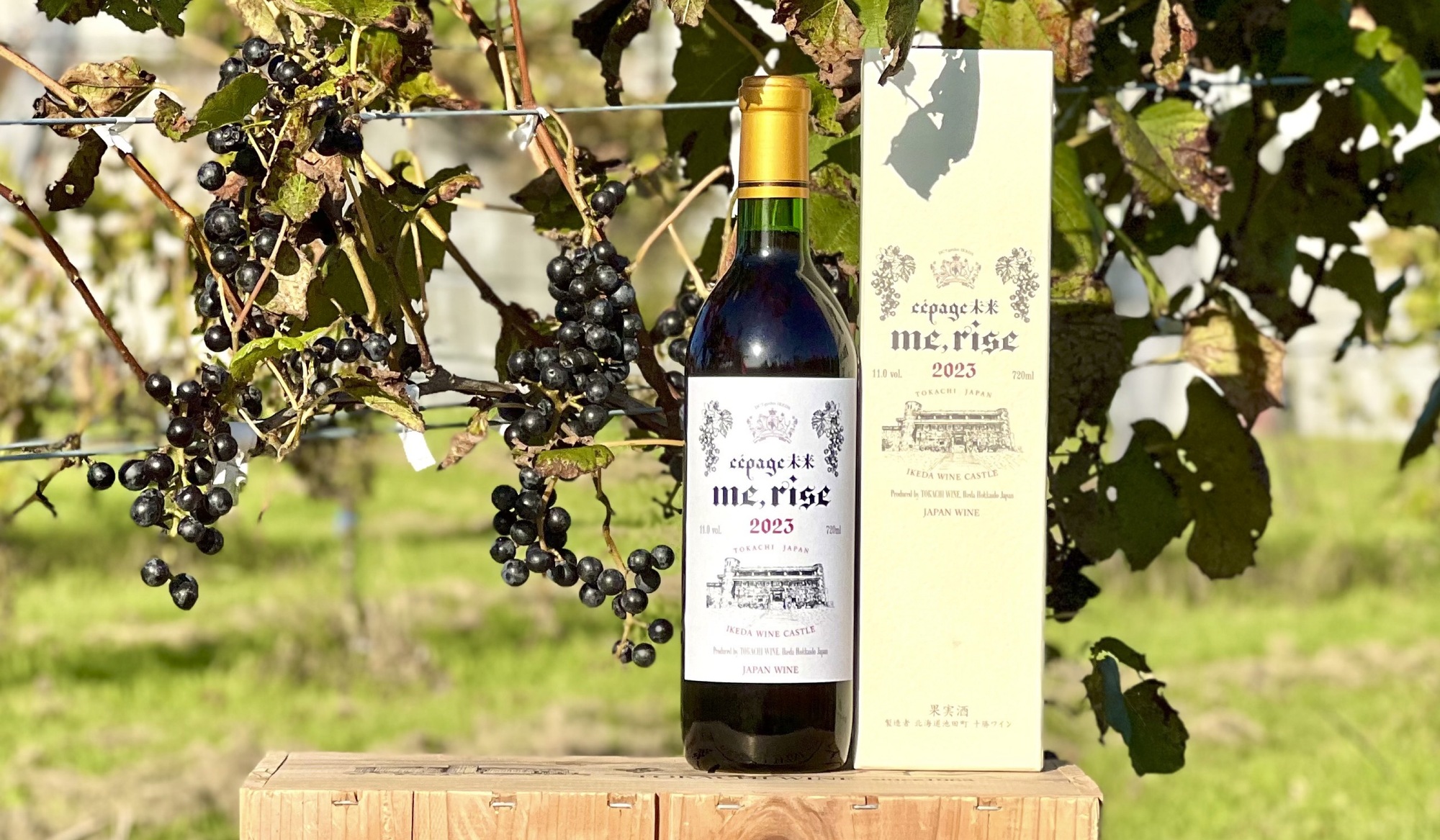 DCTgarden SHOPPING MALL】吉田美和命名ワイン「me, rise」ファースト