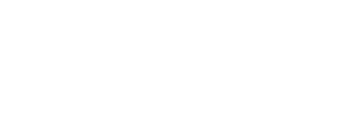 「ワンダーランド王国」を舞台にしたオリジナルストーリーも見逃せない。ミリオンヒットのベスト盤『DREAMS COME TRUE THE BEST！ 私のドリカム』収録の3枚のディスク「LOVE」「TEARS」「LIFE」というキーワードをもとにした物語りが展開。「愛こそすべて」のLOVE団とひたすら「悲しみと涙にくれる」TEARS団、人生そのものを「大木のような慈しみ」で見守る「LIFE団」に分裂してしまったワンダーランド王国。王国の危機を、歌にこめられた魔法の力で救えるのか？ライヴが進行するとともにストーリーが展開し、まるで異世界に足を踏み入れたような興奮が味わえる。